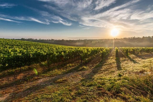 Les activités à faire dans le Beaujolais